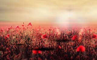 先冷静 kaiyun 先把这一步做对